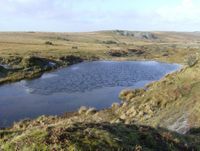 Goldiggins Quarry, Minions